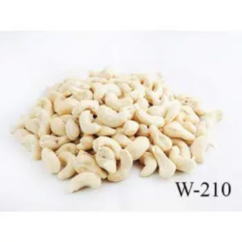 Fresh W210 Cashew Nuts